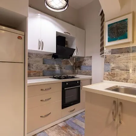 Historic 2br Nisantasi Sisli Flat High Ceilings * Provincia di Istanbul